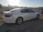 LEXUS LS 460 photo