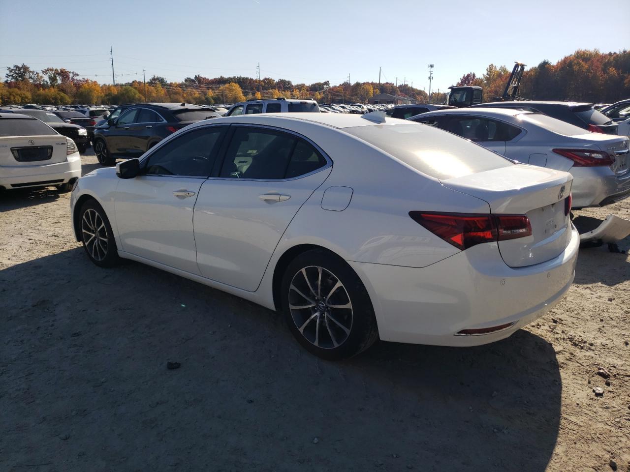 Lot #2943141568 2015 ACURA TLX ADVANC