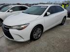 2016 TOYOTA CAMRY LE - 4T1BF1FK2GU136263