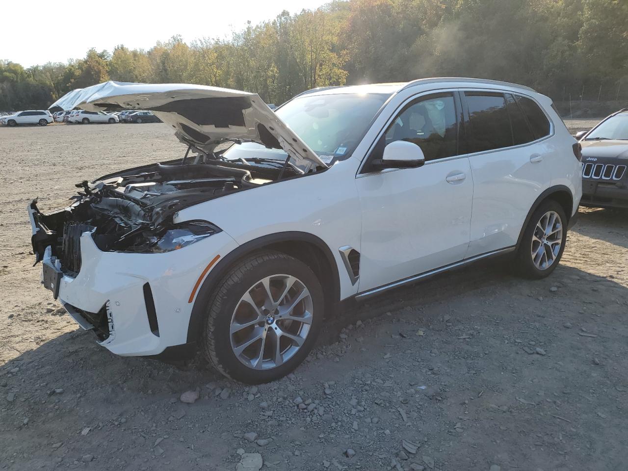  Salvage BMW X Series