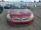 HONDA ACCORD EX photo