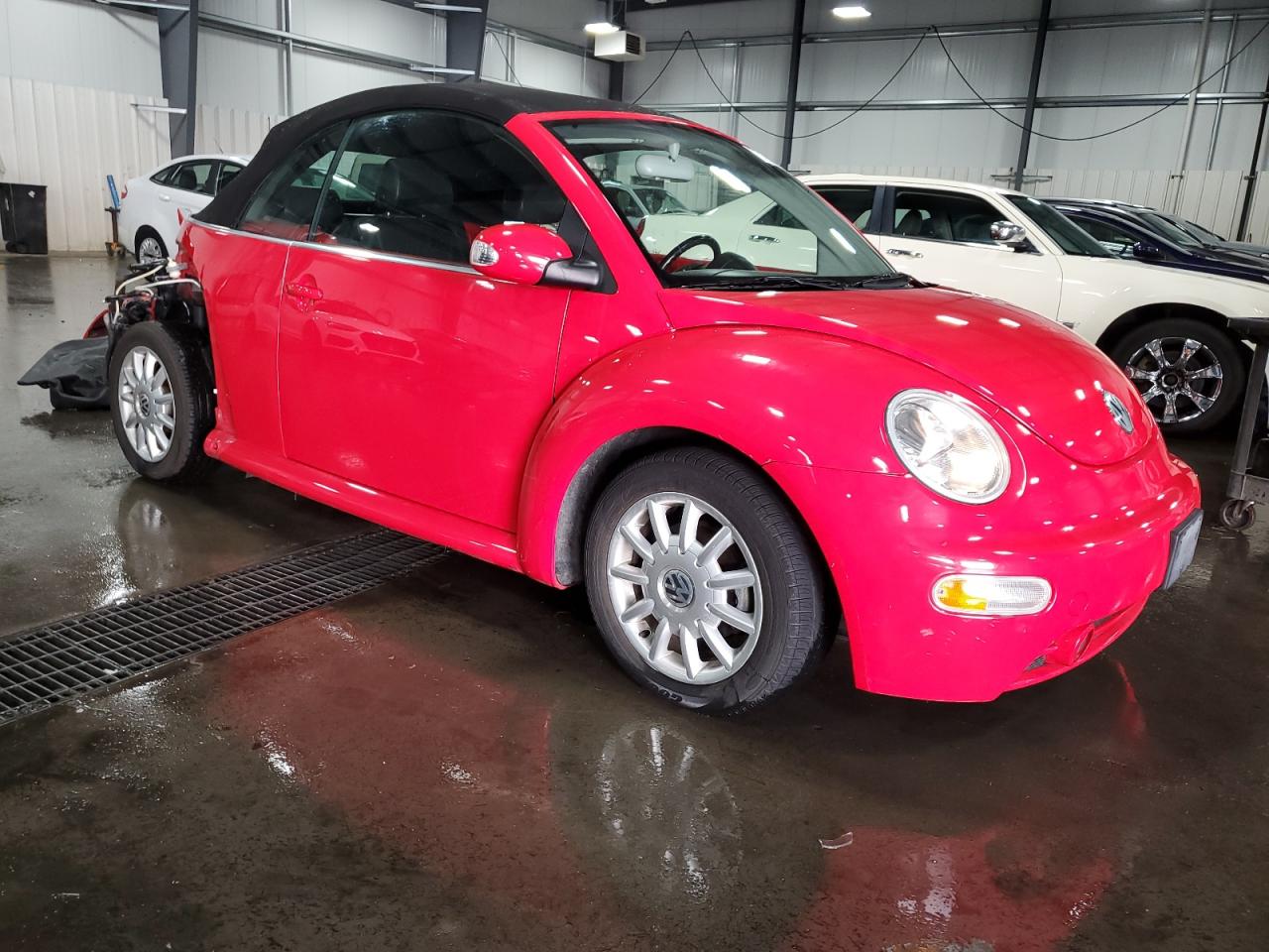 Lot #2976991581 2004 VOLKSWAGEN NEW BEETLE