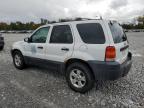 FORD ESCAPE XLT photo