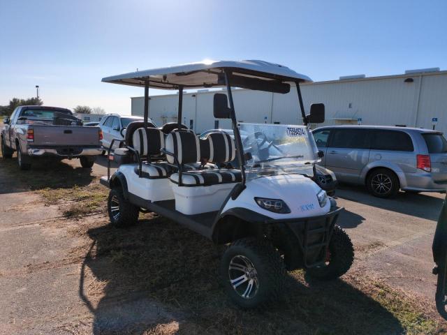 GOLF CART 2023 white   FLA130048 photo #1