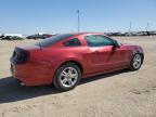 FORD MUSTANG photo