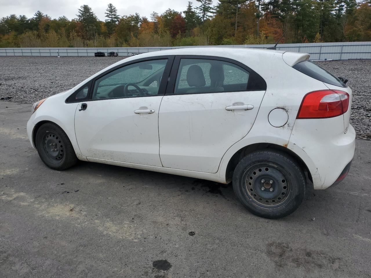 Lot #2921443378 2014 KIA RIO LX