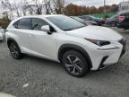 Lot #3024155833 2020 LEXUS NX 300