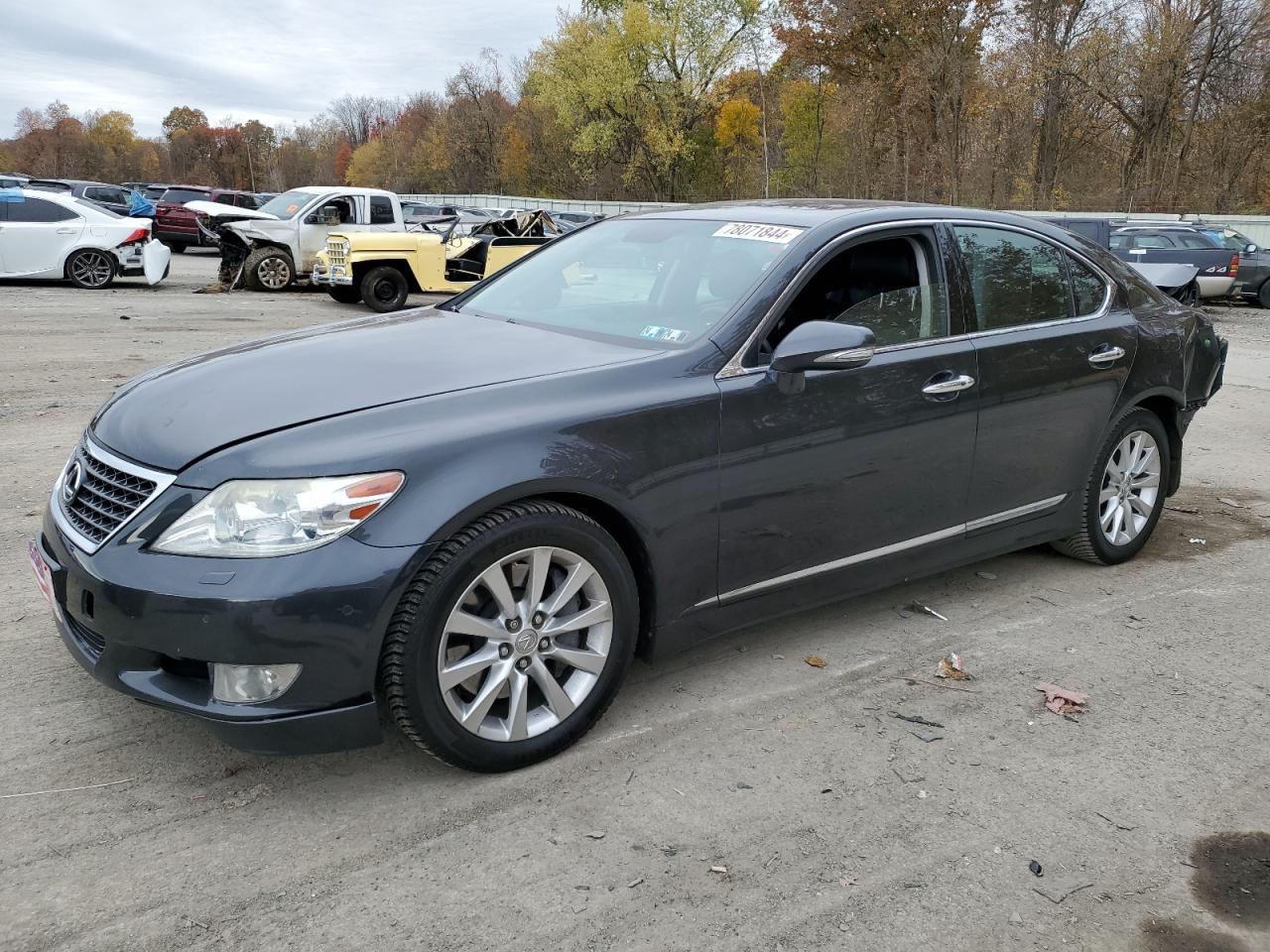 Lot #2994093561 2011 LEXUS LS 460