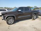 2024 TOYOTA TUNDRA CRE - 5TFMA5DB4RX200648