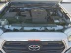 TOYOTA TACOMA DOU photo