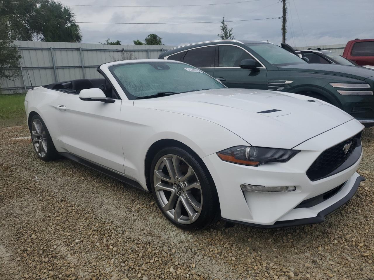 Lot #2993219431 2020 FORD MUSTANG