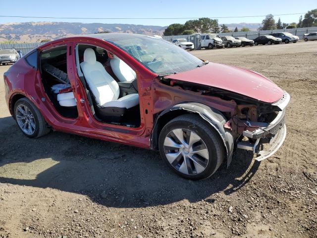 2023 TESLA MODEL Y - 7SAYGDEE9PF628437
