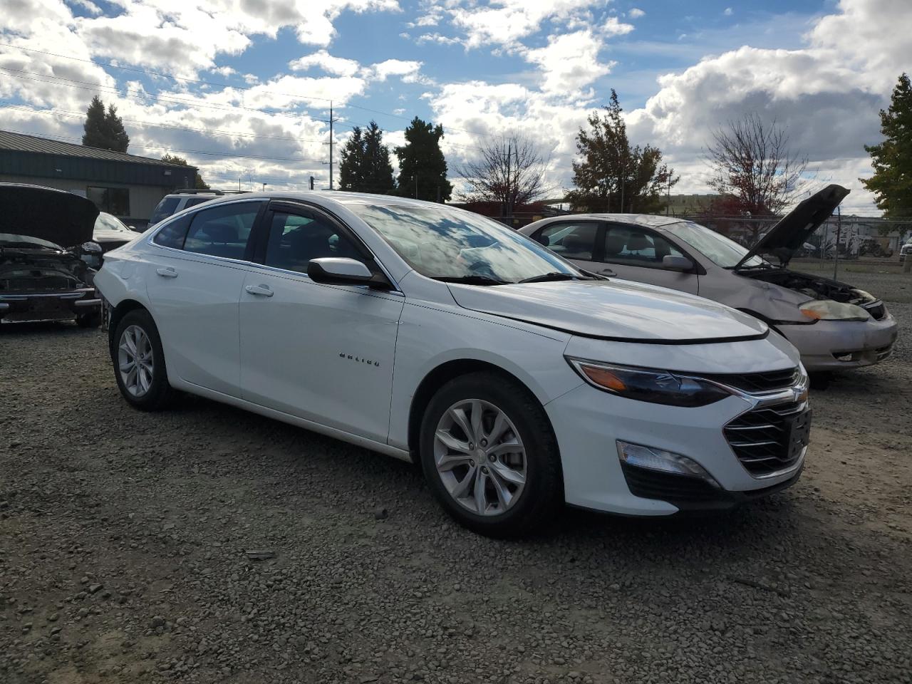 Lot #2893465594 2020 CHEVROLET MALIBU LT