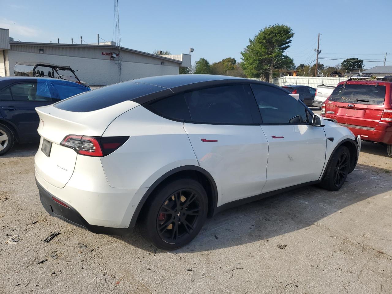 Lot #2962563819 2020 TESLA MODEL Y