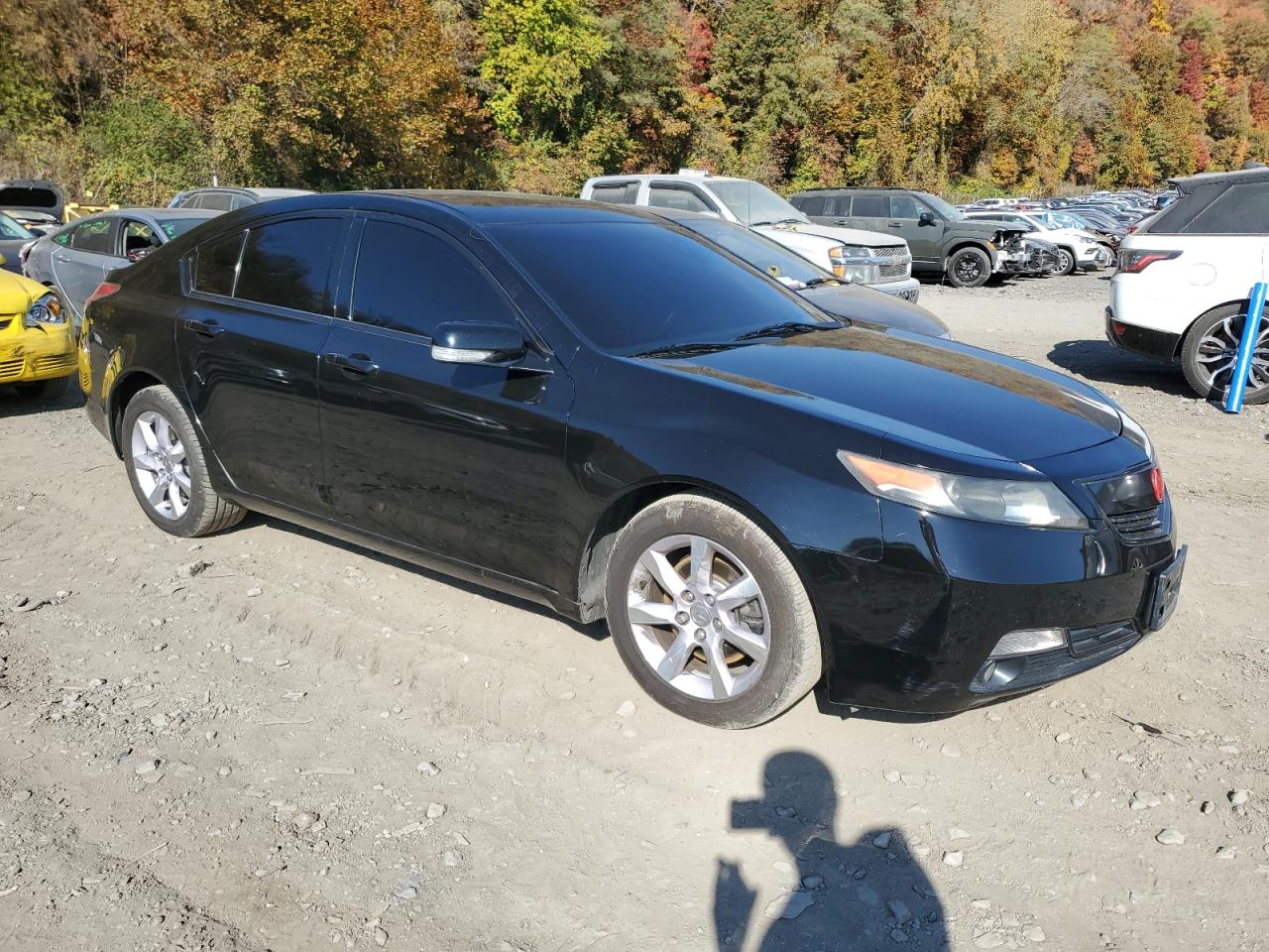 Lot #2955026842 2013 ACURA TL