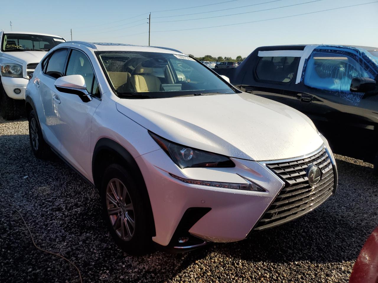 Lot #2989157810 2020 LEXUS NX 300