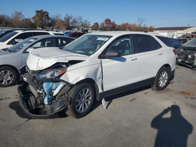 2021 CHEVROLET EQUINOX LS - 3GNAXHEV8MS107337