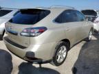 LEXUS RX 350 photo