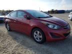 HYUNDAI ELANTRA SE photo