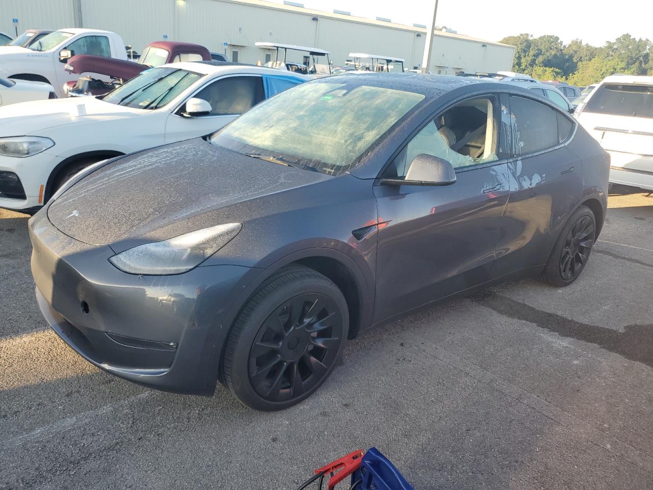 Lot #2986712353 2023 TESLA MODEL Y