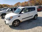 KIA SOUL + photo