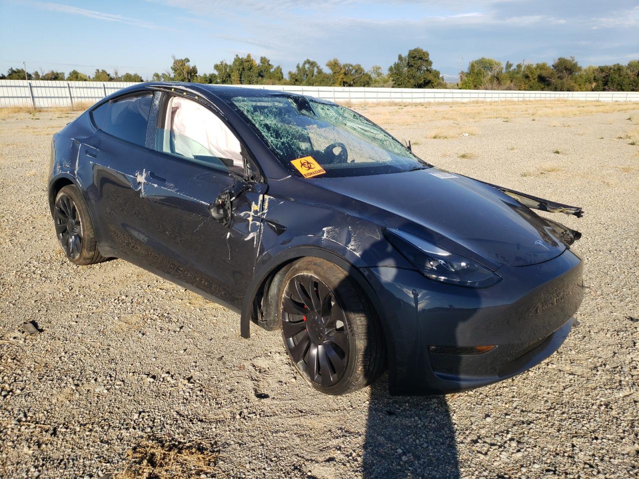 Lot #2974858082 2023 TESLA MODEL Y