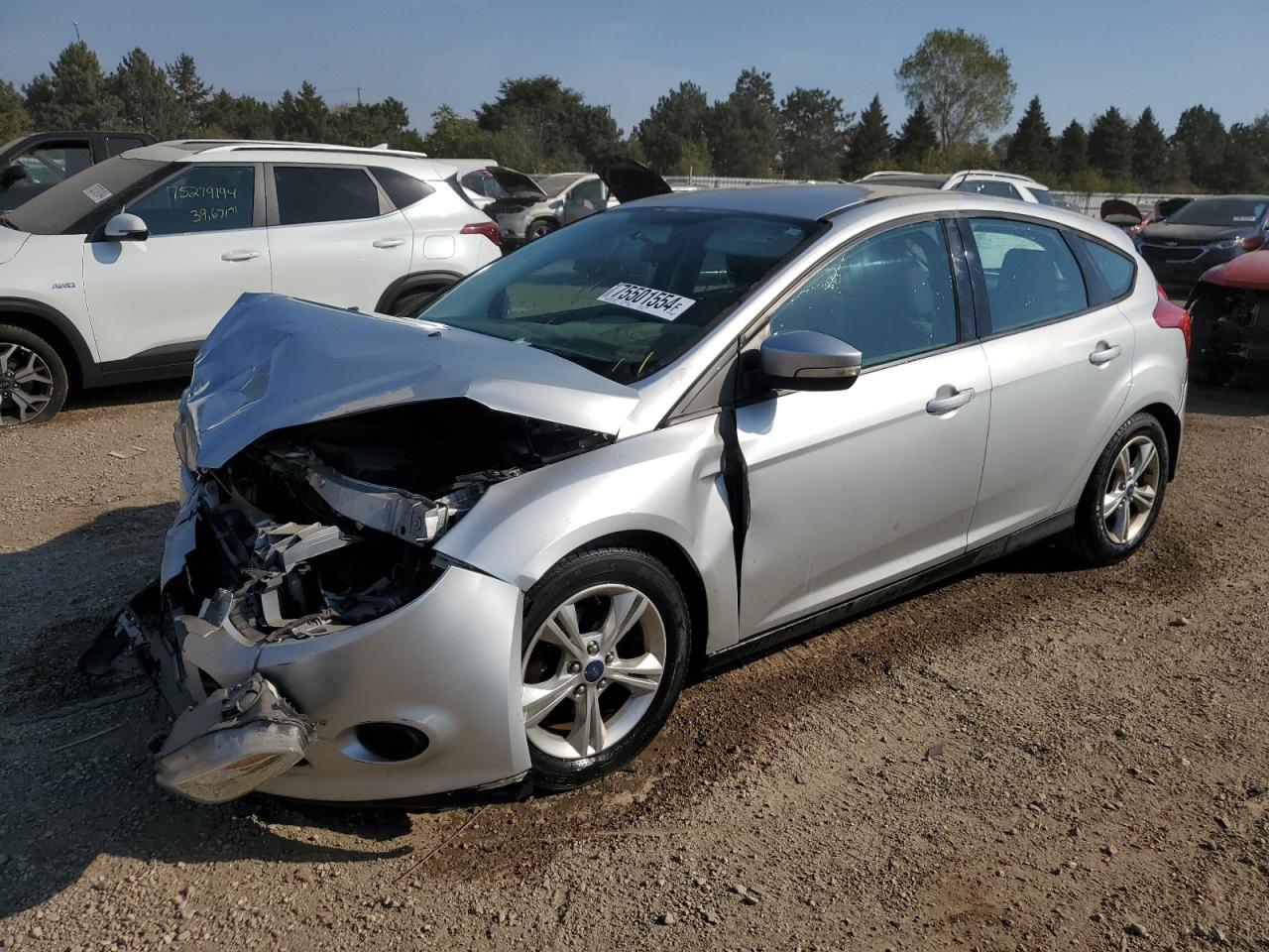 Lot #2976946706 2014 FORD FOCUS SE