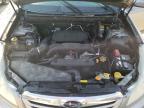 SUBARU OUTBACK 2. photo