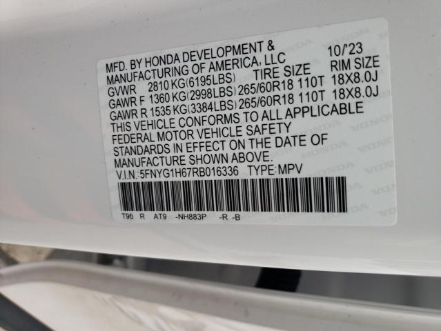 2024 HONDA PILOT TRAI 5FNYG1H67RB016336