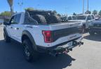 FORD F150 RAPTO photo