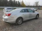 CHEVROLET MALIBU 1LT photo