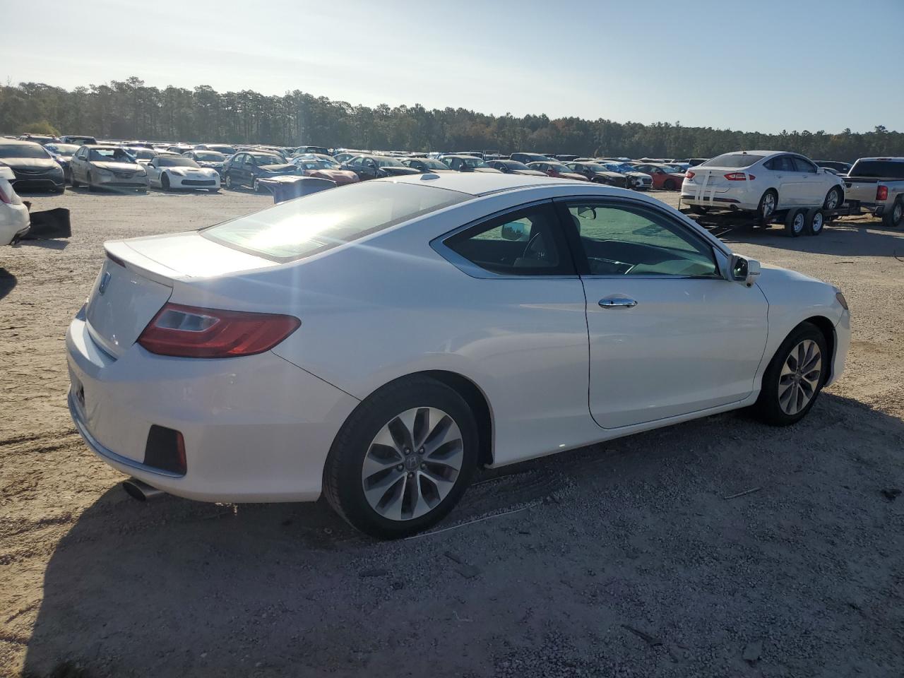 Lot #2952735207 2014 HONDA ACCORD EXL