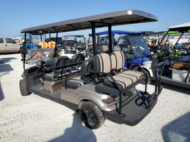 ASPT GOLF CART 2021 brown   FLA111911 photo #4