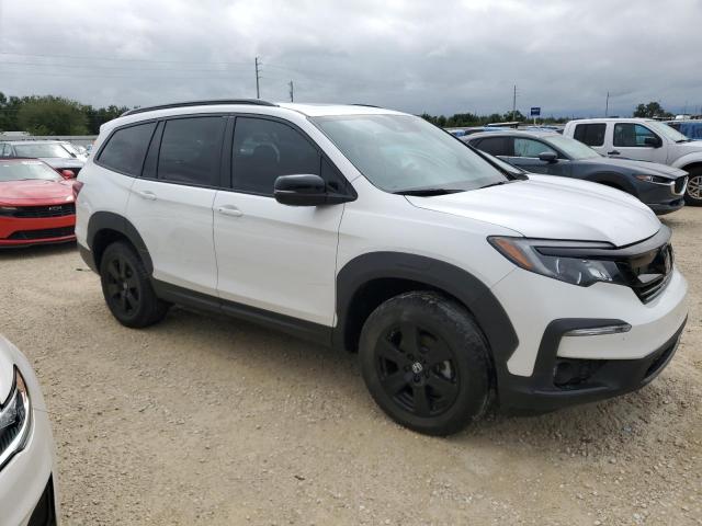 2022 HONDA PILOT TRAI 5FNYF6H81NB071795