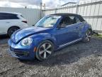 VOLKSWAGEN BEETLE TUR photo