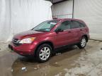 HONDA CR-V SE photo