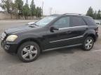 MERCEDES-BENZ ML 350 photo