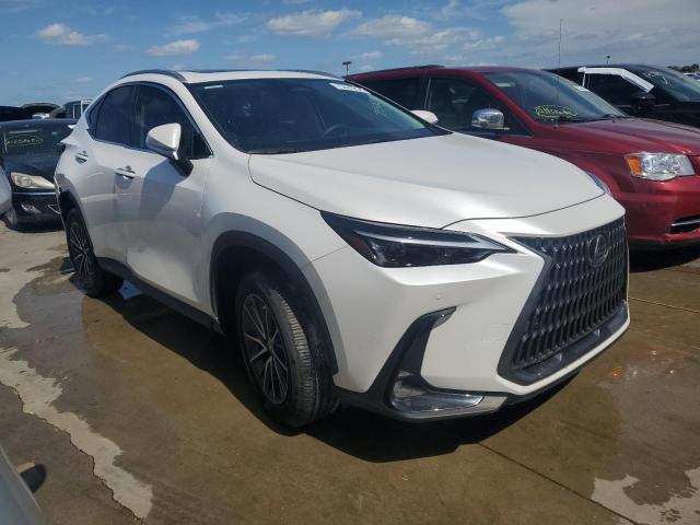 2024 LEXUS NX 250 PRE 2T2GDCAZ7RC007723