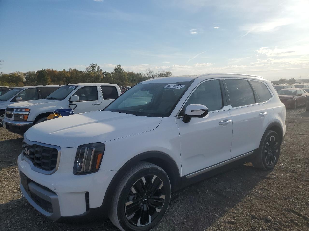 Lot #2996372382 2023 KIA TELLURIDE