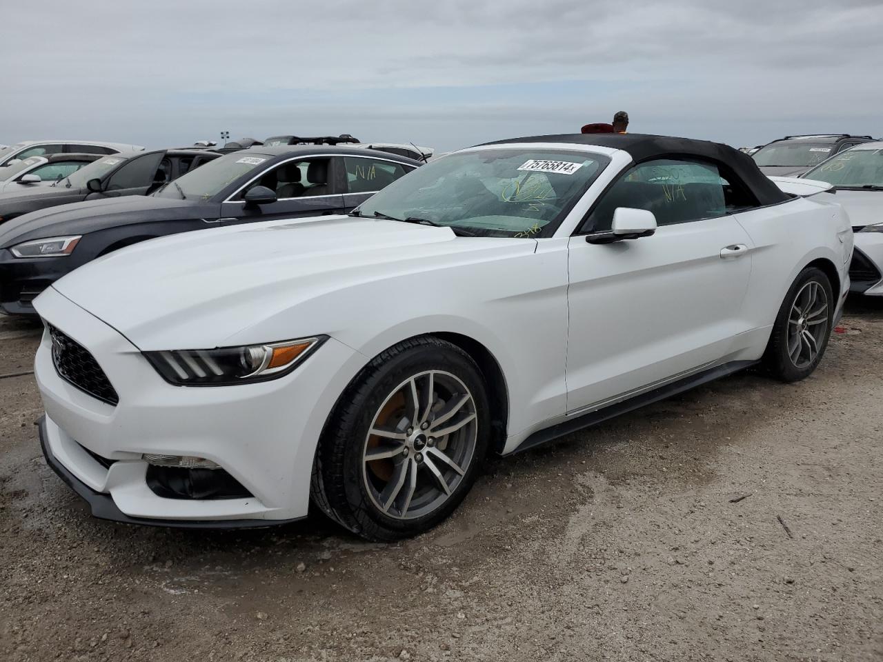 Lot #3026942196 2016 FORD MUSTANG