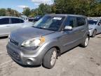 KIA SOUL + photo