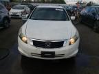 HONDA ACCORD EXL photo