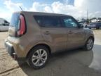 KIA SOUL + photo