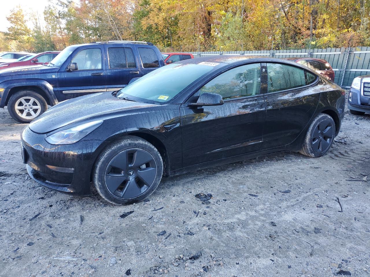 Tesla Model 3 2021 