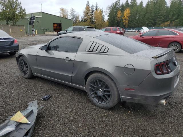 VIN 1ZVBP8AM0E5210481 2014 Ford Mustang no.2