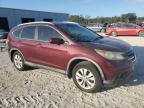 HONDA CR-V EXL photo