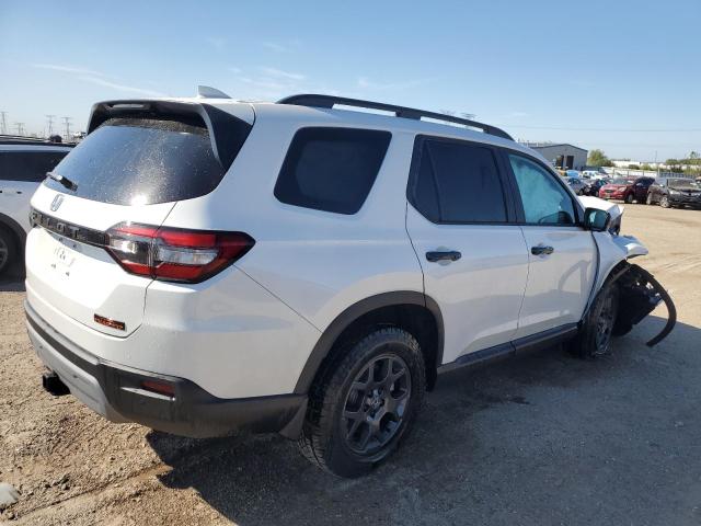 2024 HONDA PILOT TRAI - 5FNYG1H65RB008641