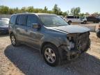 HONDA PILOT EXL photo