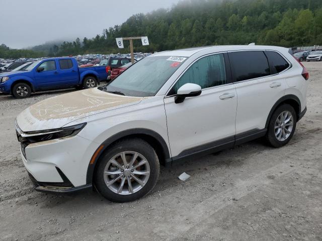 2024 HONDA CR-V EXL - 5J6RS4H77RL004188