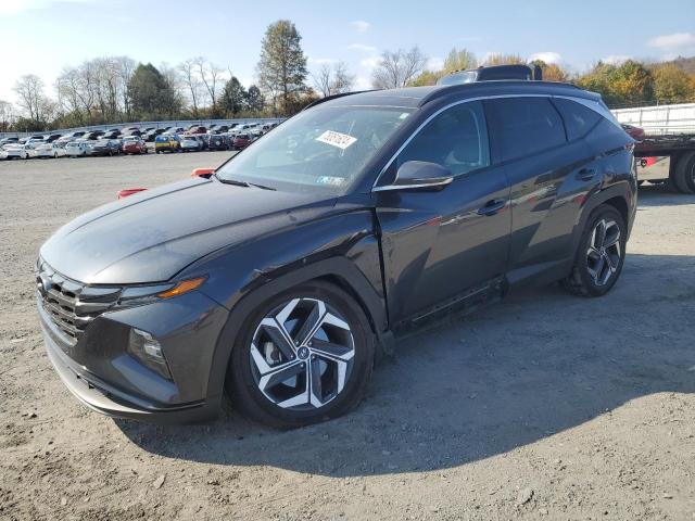 2023 HYUNDAI TUCSON LIM #2955296492